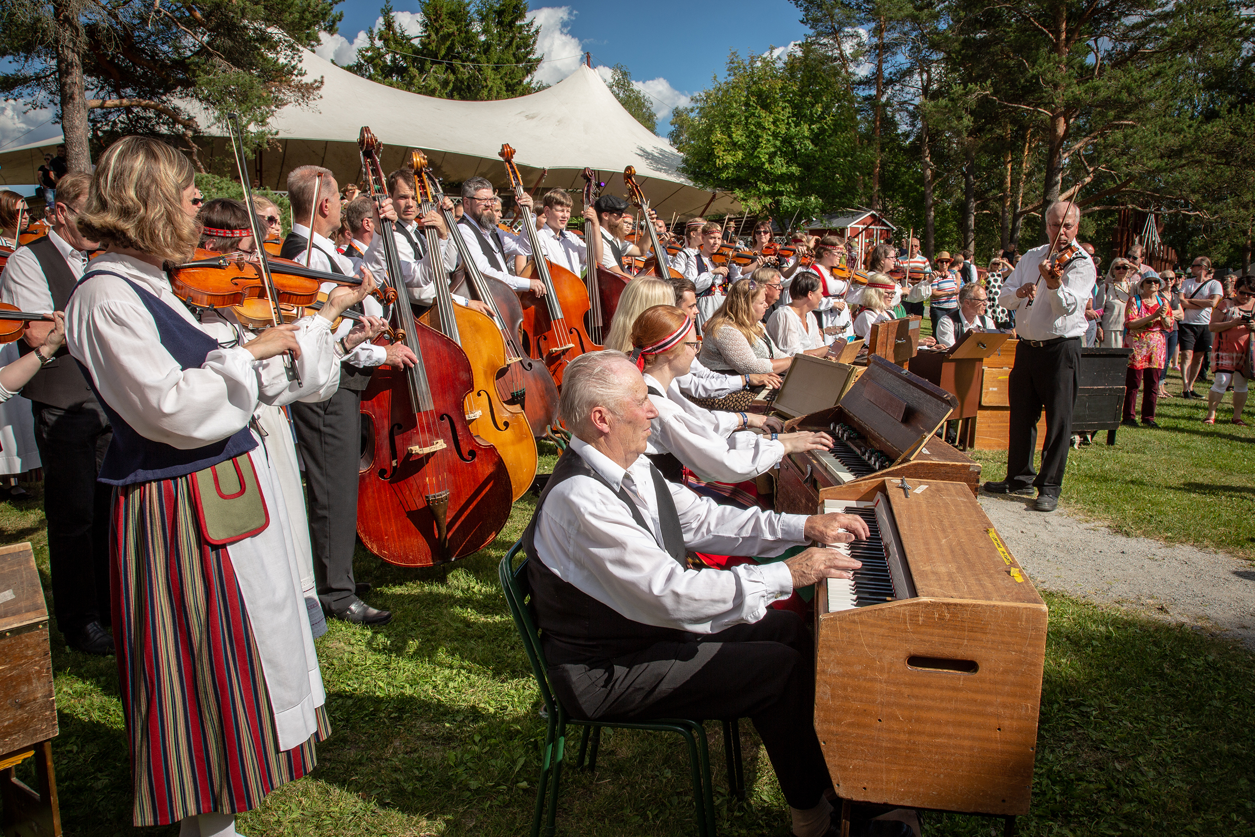 avajaisjuhla_kaustinenfmf_by-risto-savolainen Pelimannit soittavat yhdessä ulkona. Takarivissä viuluja ja bassoja, edessä urkuharmoneja.