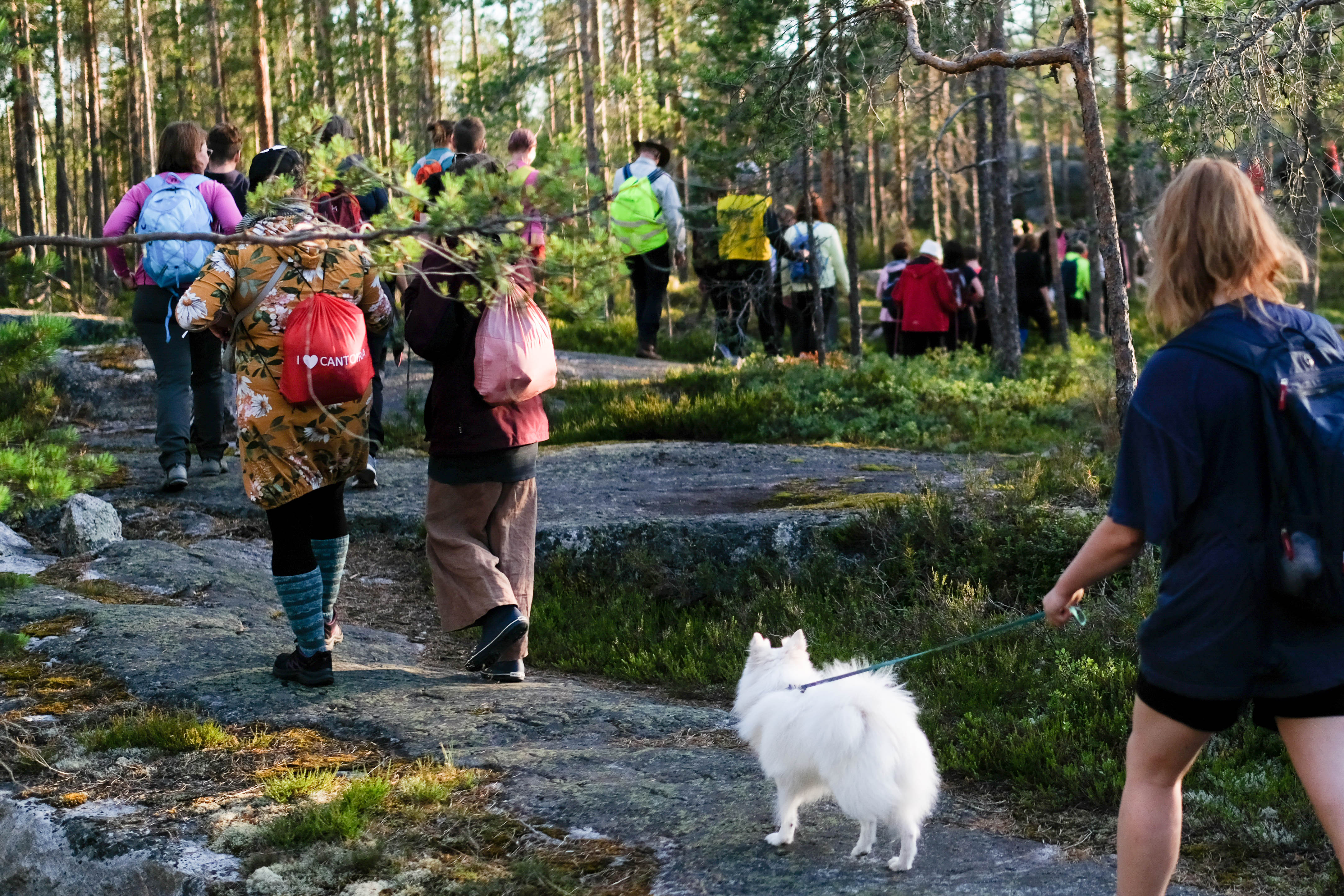 Tuure Niskanen soittaa viulua keskittyneenä yleisön keskellä.